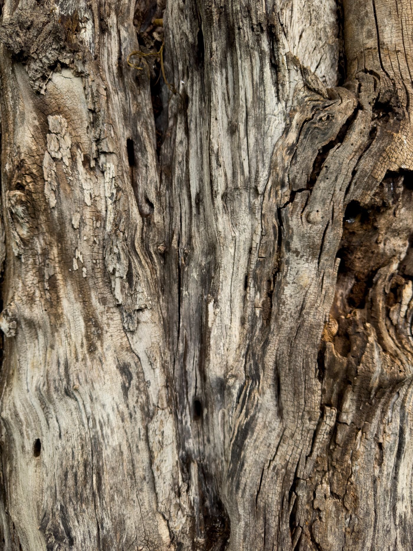 Reconnaître un bois de chauffage vraiment sec, avant de l'acheter